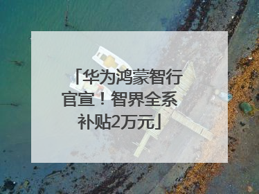 华为鸿蒙智行官宣！智界全系补贴2万元