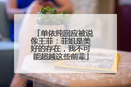 单依纯回应被说像王菲：菲姐是美好的存在，我不可能超越这些前辈