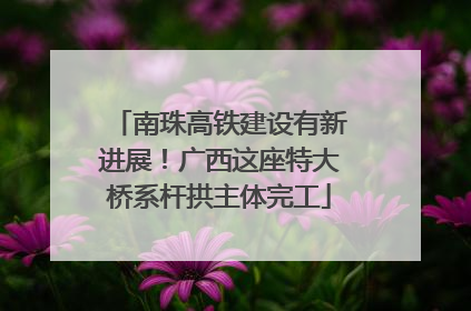 南珠高铁建设有新进展！广西这座特大桥系杆拱主体完工