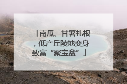 南瓜、甘薯扎根，低产丘陵地变身致富“聚宝盆”