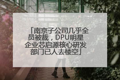 南京子公司几乎全员被裁，DPU明星企业芯启源核心研发部门已人去楼空