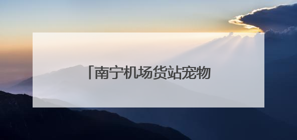南宁机场货站宠物候机厅正式启用