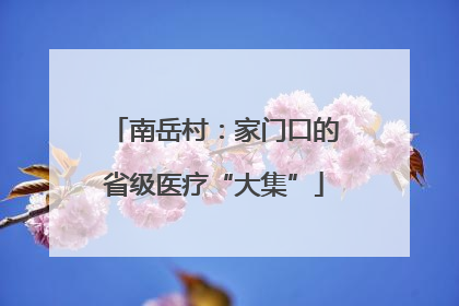 南岳村：家门口的省级医疗“大集”