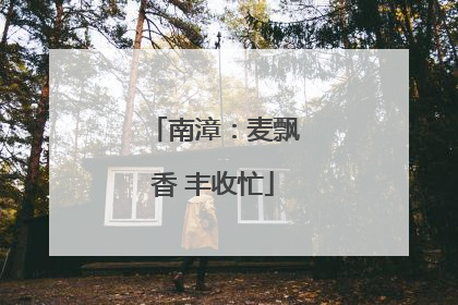 南漳：麦飘香 丰收忙