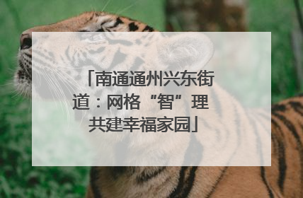 南通通州兴东街道：网格“智”理 共建幸福家园