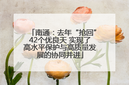南通：去年“抢回”42个优良天 实现了高水平保护与高质量发展的协同并进