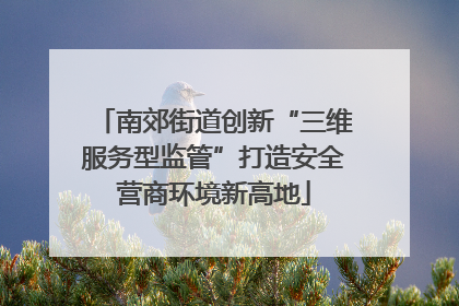 南郊街道创新“三维服务型监管”打造安全营商环境新高地