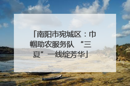 南阳市宛城区：巾帼助农服务队 “三夏”一线绽芳华