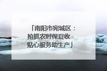 南阳市宛城区：抢抓农时保夏收 贴心服务助生产