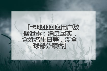卡地亚回应用户数据泄露：消息属实，含姓名生日等，涉全球部分顾客