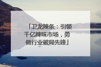 卫龙辣条：引领千亿辣味市场，勇做行业破局先锋
