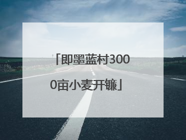 即墨蓝村3000亩小麦开镰