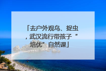 去户外观鸟、捉虫，武汉流行带孩子“培优”自然课