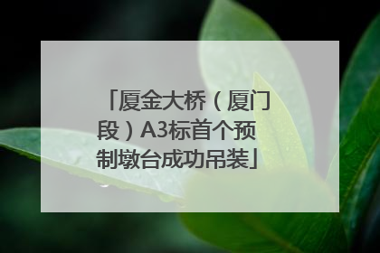 厦金大桥（厦门段）A3标首个预制墩台成功吊装