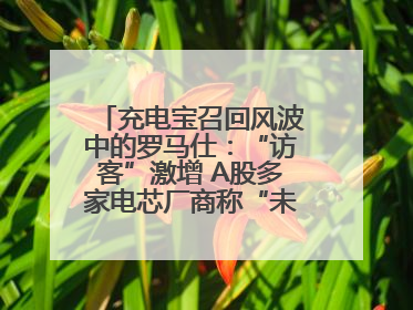 充电宝召回风波中的罗马仕：“访客”激增 A股多家电芯厂商称“未供货”