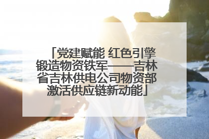 党建赋能 红色引擎锻造物资铁军——吉林省吉林供电公司物资部激活供应链新动能