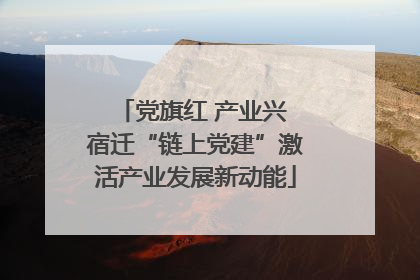 党旗红 产业兴 宿迁“链上党建”激活产业发展新动能