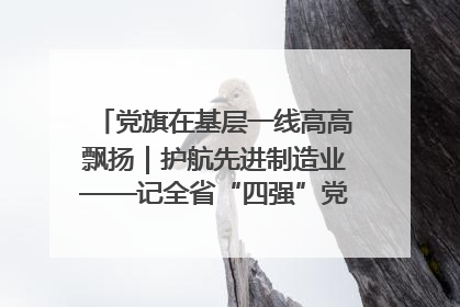 党旗在基层一线高高飘扬｜护航先进制造业——记全省“四强”党支部、省工业和信息化厅装备工业处党支部