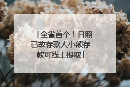 全省首个！日照已故存款人小额存款可线上提取