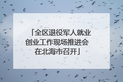 全区退役军人就业创业工作现场推进会在北海市召开