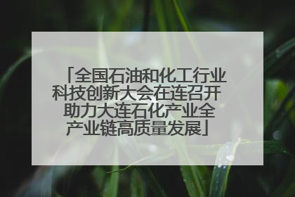 全国石油和化工行业科技创新大会在连召开 助力大连石化产业全产业链高质量发展