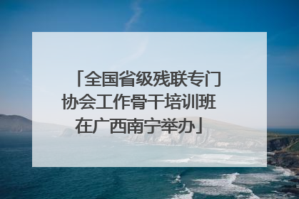 全国省级残联专门协会工作骨干培训班在广西南宁举办