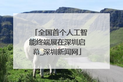 全国首个人工智能终端展在深圳启幕_深圳新闻网