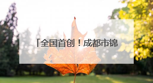 全国首创！成都市锦江区“民营发展贷”两月放款1.7亿元