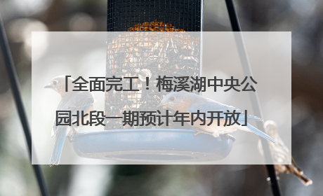 全面完工！梅溪湖中央公园北段一期预计年内开放