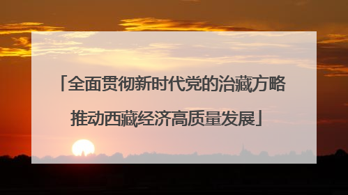 全面贯彻新时代党的治藏方略 推动西藏经济高质量发展