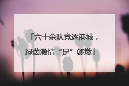 六十余队竞逐港城，绿茵激情“足”够燃
