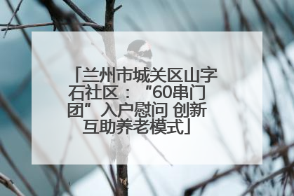 兰州市城关区山字石社区：“60串门团”入户慰问 创新互助养老模式