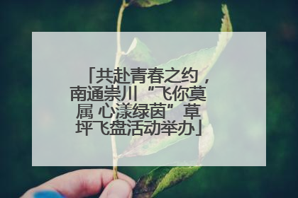 共赴青春之约，南通崇川“飞你莫属 心漾绿茵”草坪飞盘活动举办