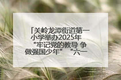 关岭龙潭街道第一小学举办2025年“牢记党的教导 争做强国少年”“六一”文艺汇演活动
