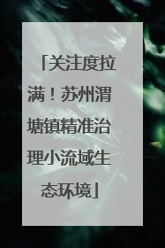 关注度拉满！苏州渭塘镇精准治理小流域生态环境