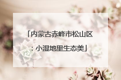 内蒙古赤峰市松山区：小湿地里生态美