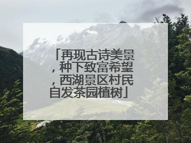 再现古诗美景，种下致富希望，西湖景区村民自发茶园植树