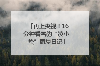 再上央视！16分钟看雪豹“凌小蛰”康复日记