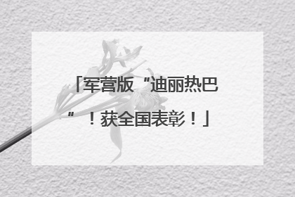 军营版“迪丽热巴”！获全国表彰！