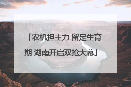农机担主力 留足生育期 湖南开启双抢大幕