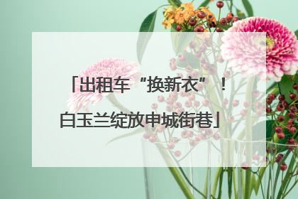 出租车“换新衣”！白玉兰绽放申城街巷