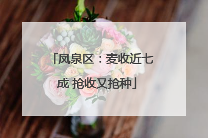 凤泉区：麦收近七成 抢收又抢种
