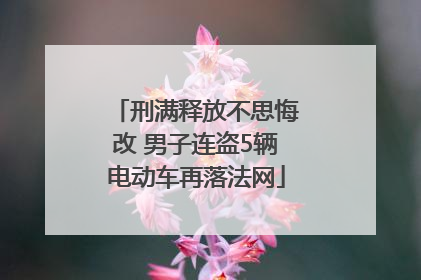 刑满释放不思悔改 男子连盗5辆电动车再落法网