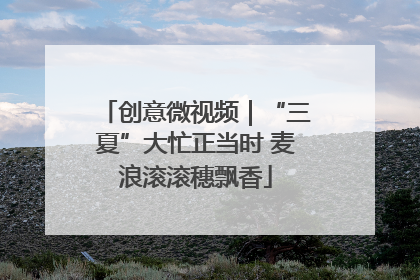 创意微视频｜“三夏”大忙正当时 麦浪滚滚穗飘香