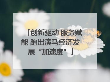 创新驱动 服务赋能 跑出演马经济发展“加速度”