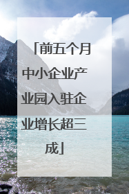 前五个月中小企业产业园入驻企业增长超三成