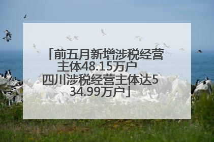前五月新增涉税经营主体48.15万户 四川涉税经营主体达534.99万户