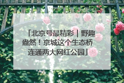 北京号最精彩｜野趣盎然！京城这个生态桥连通两大网红公园