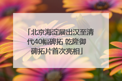 北京海淀展出汉至清代40幅碑拓 乾隆御碑拓片首次亮相