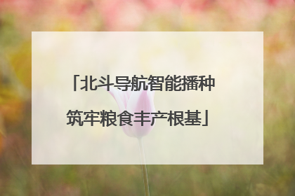北斗导航智能播种 筑牢粮食丰产根基